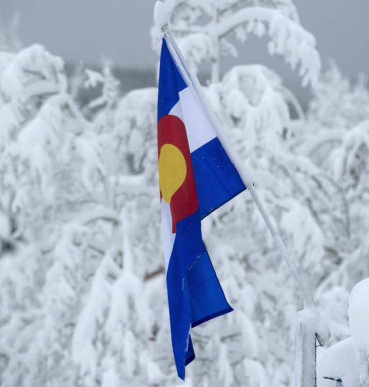 Colorado Artist Made Goodies
