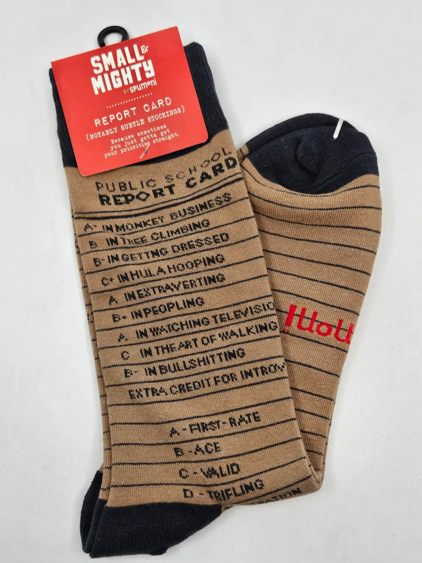 Gibbs Smith- Report Card Socks