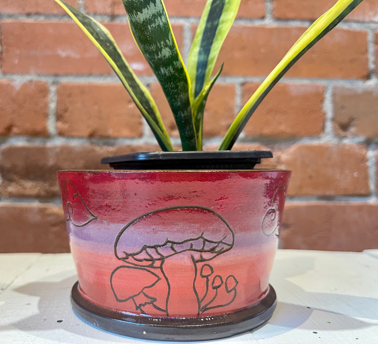 Spunky Sloth Ceramics- Wetland Beauties Planters