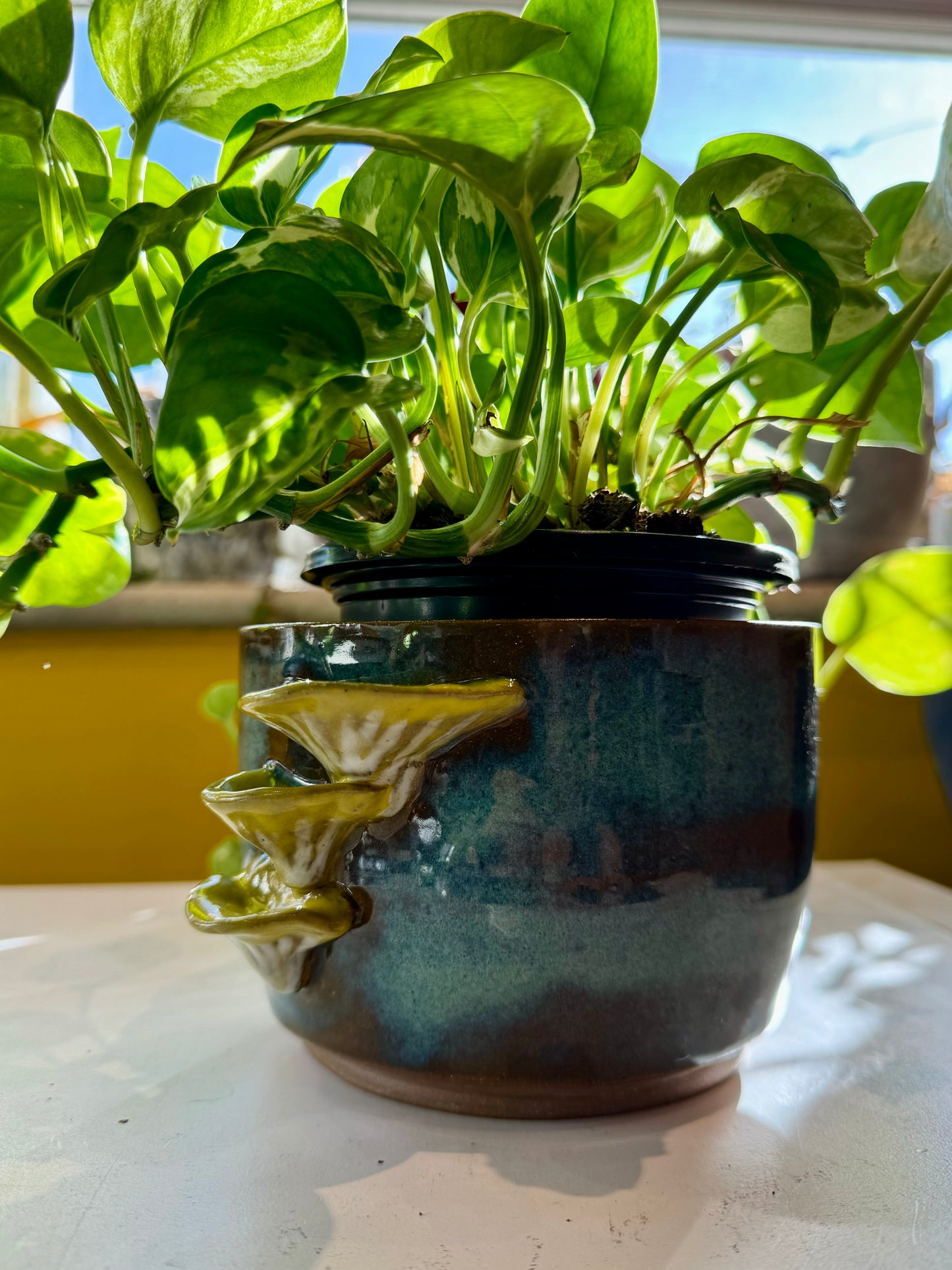 Spunky Sloth Ceramics- Oyster Mushroom Planter