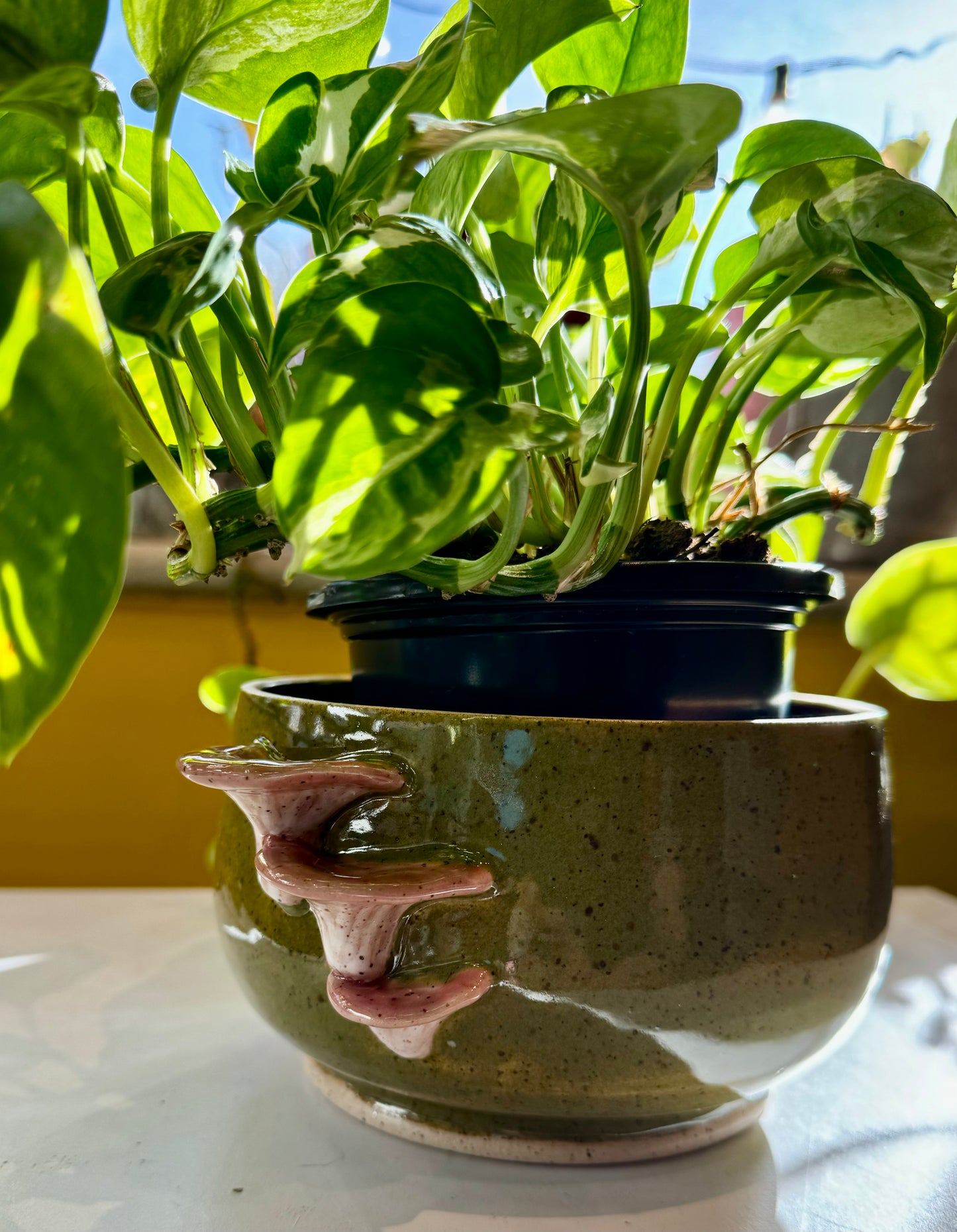 Spunky Sloth Ceramics- Oyster Mushroom Planter