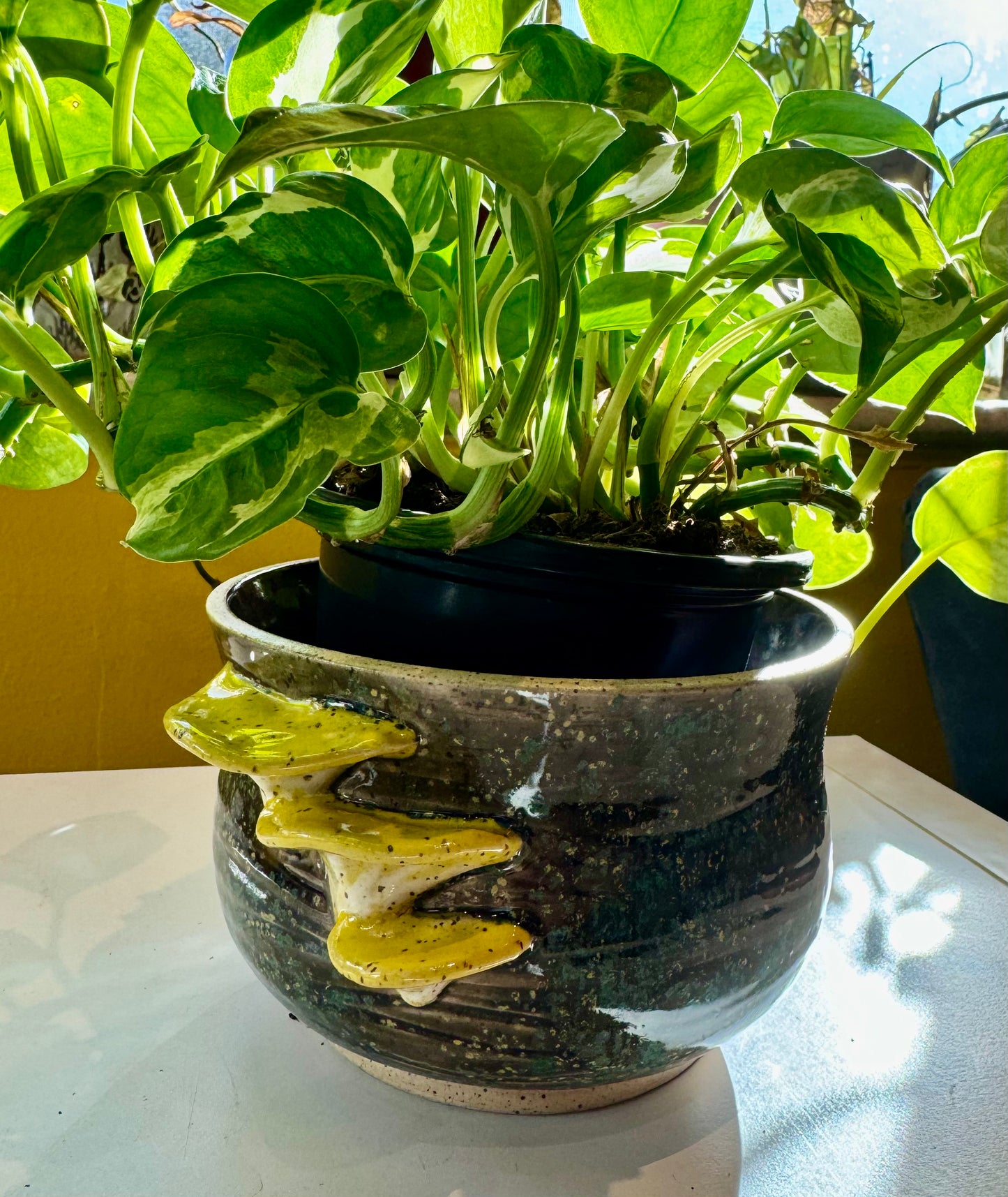 Spunky Sloth Ceramics- Oyster Mushroom Planter