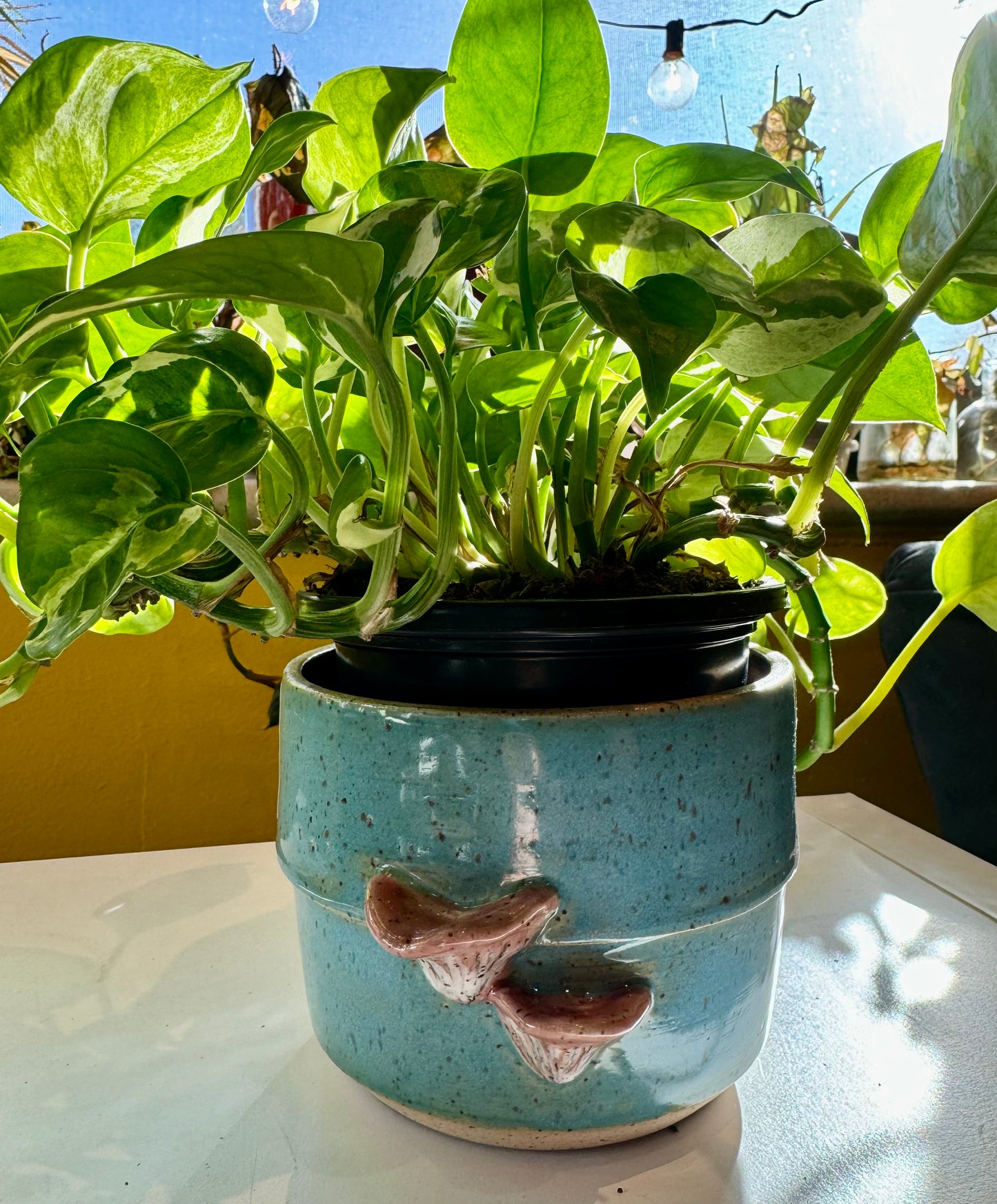 Spunky Sloth Ceramics- Oyster Mushroom Planter