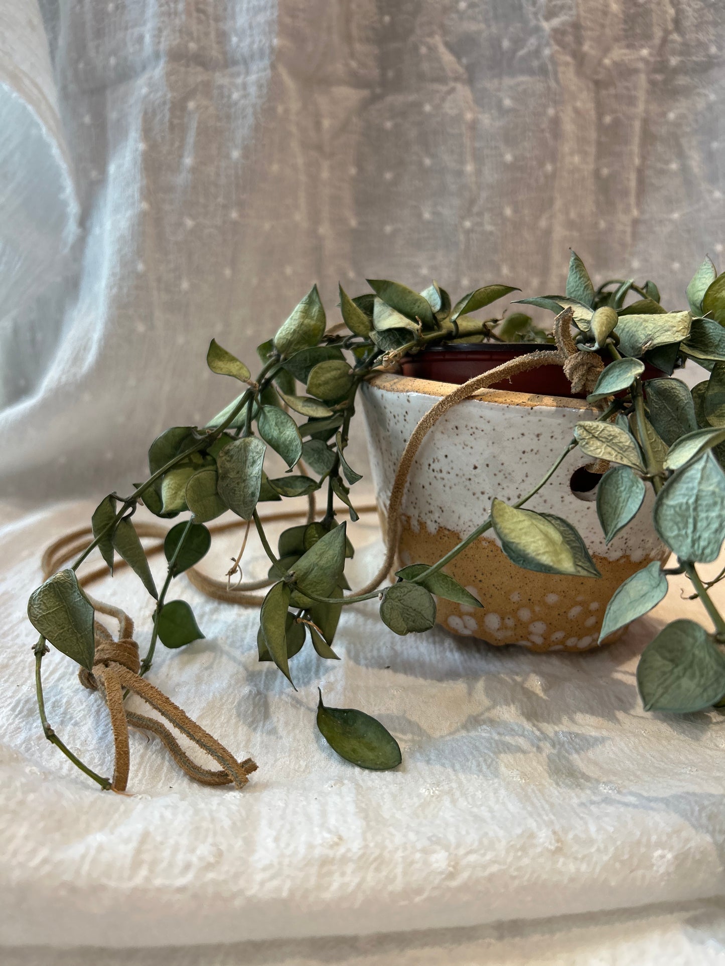 Nitra Olsen Ceramics- Hanging Planter White