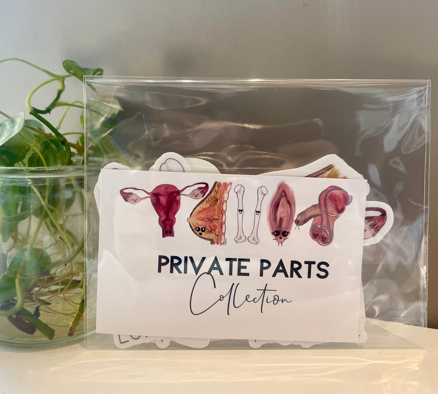 Christine Borst- Private Parts Sticker Collection