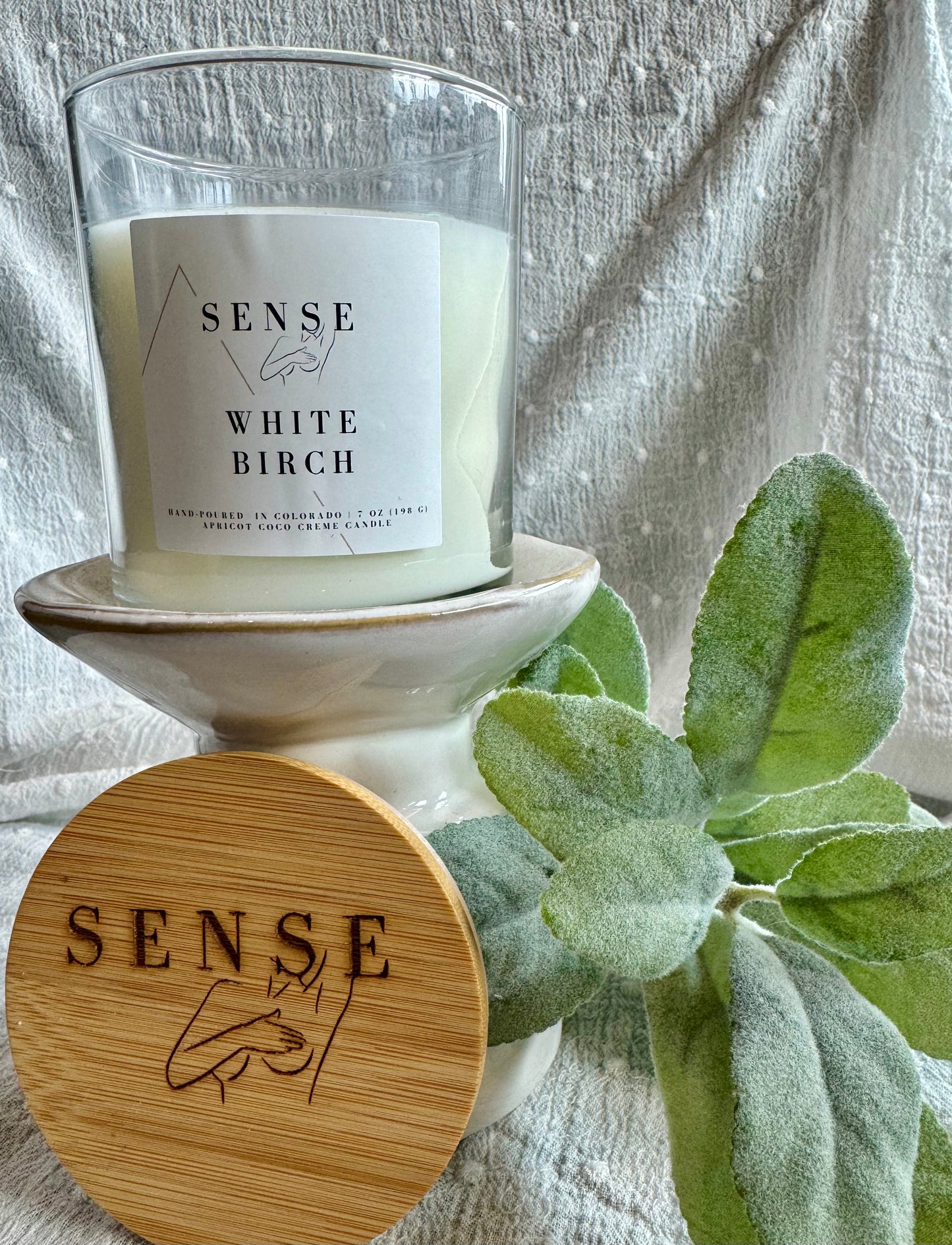 Sense by Cin- Jarred Wooden Wick Candles- White Birch