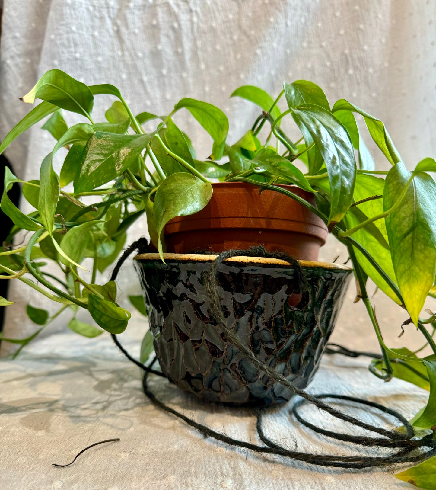 Nitra Olsen Ceramics- Hanging Planters