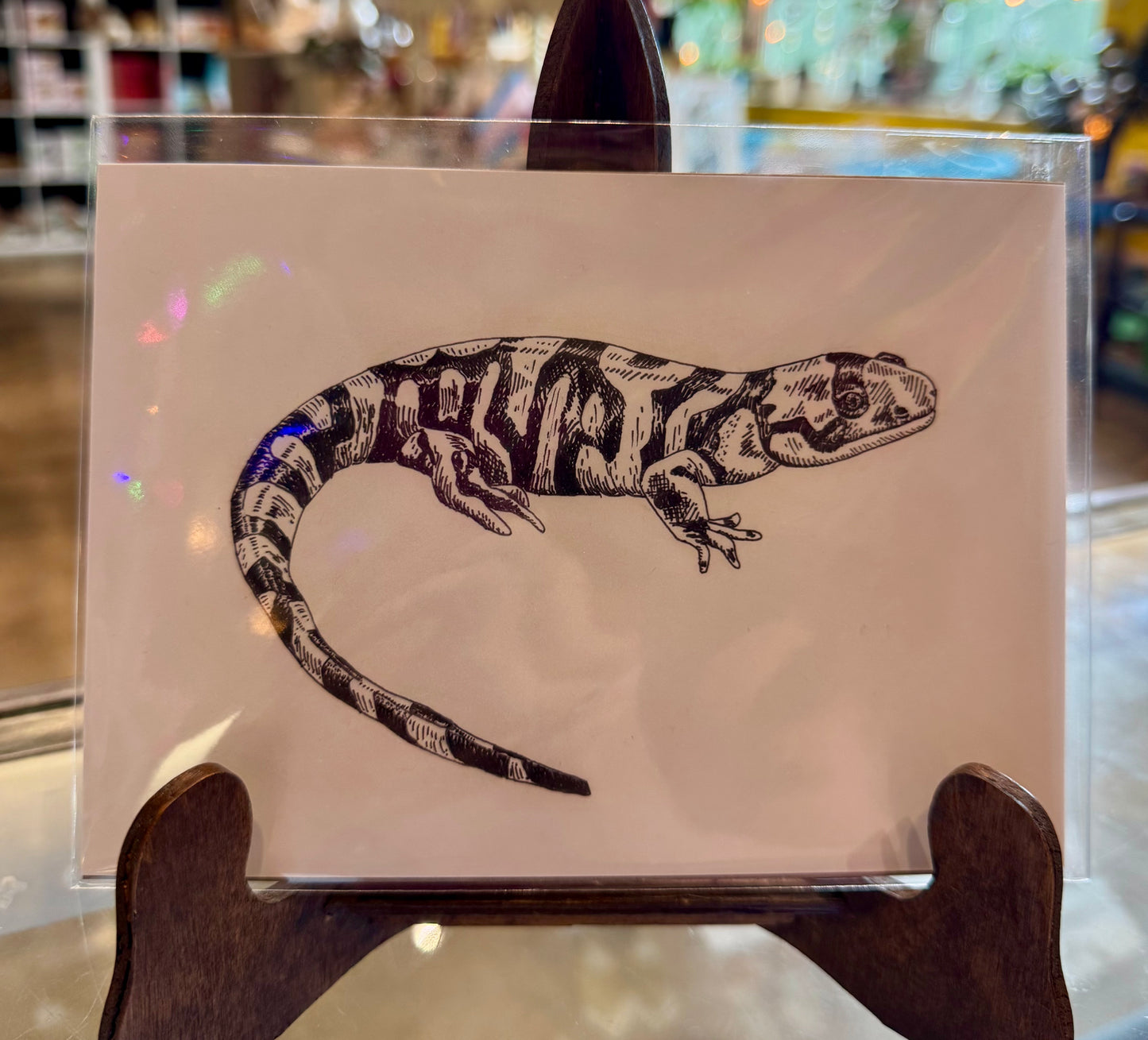 Rachael Taylor- 5x7 Art Print- Tiger Salamander