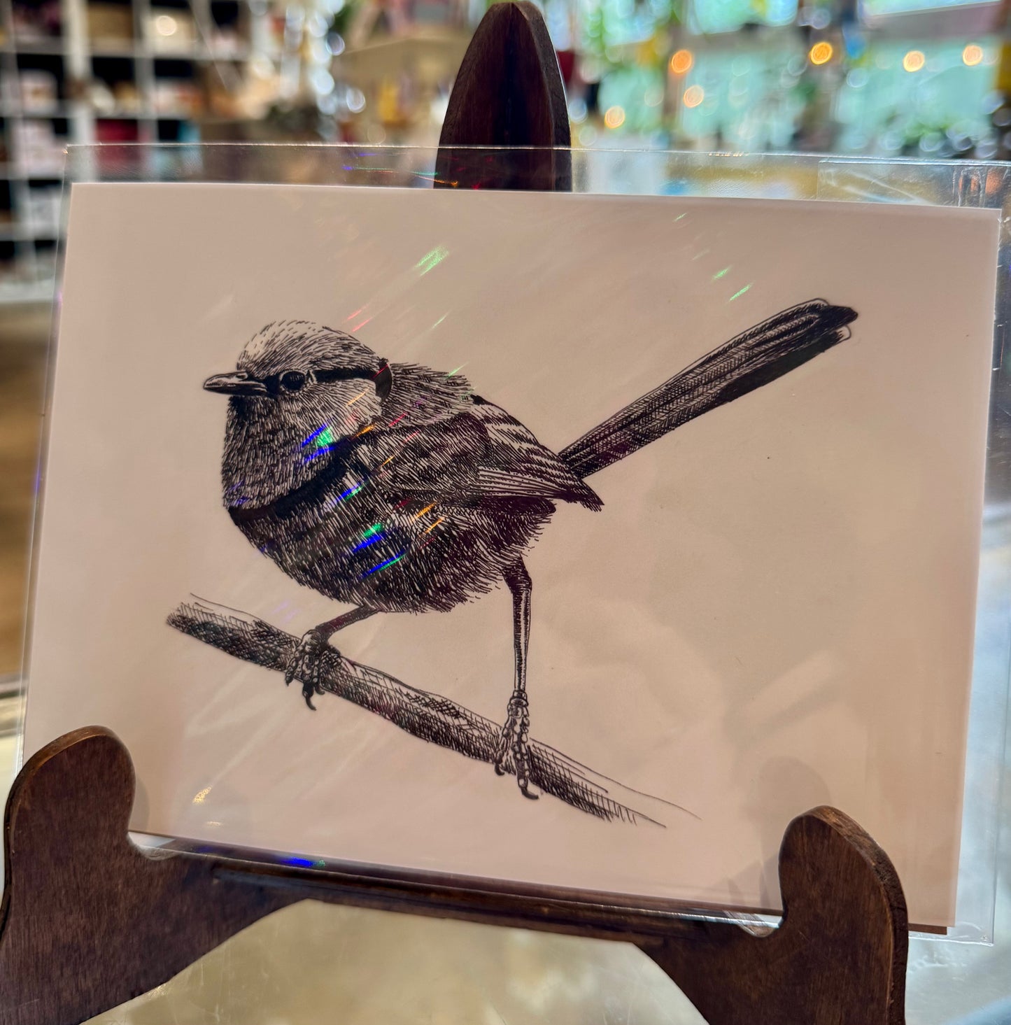Rachael Taylor- 5x7 Art Print- Splendid Fairy Wren