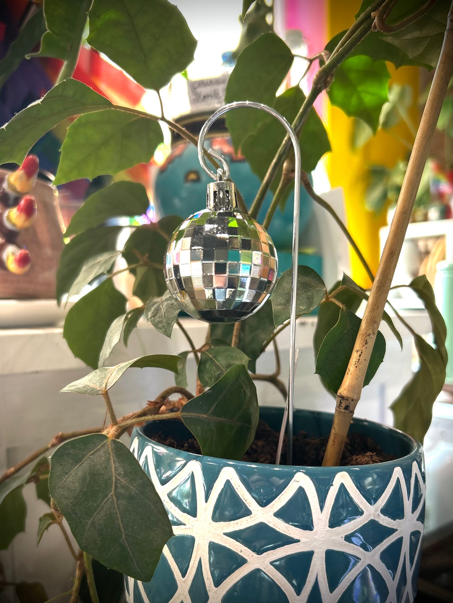 Party in My Plants