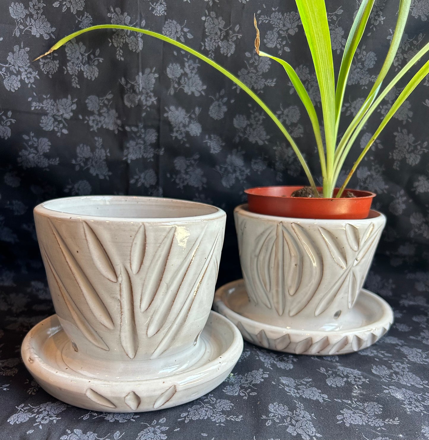 Nitra Olsen Ceramics- Planter Pots