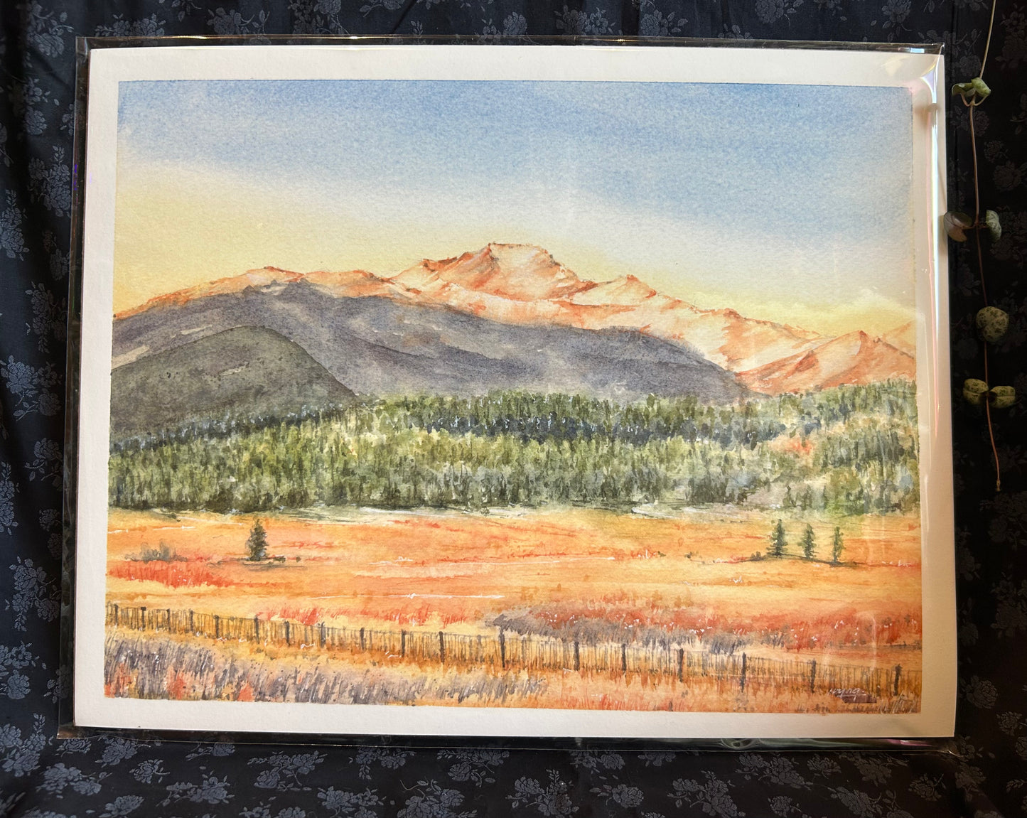 Ivywild Studio- 11"x14" Watercolor Print- Longs Peak