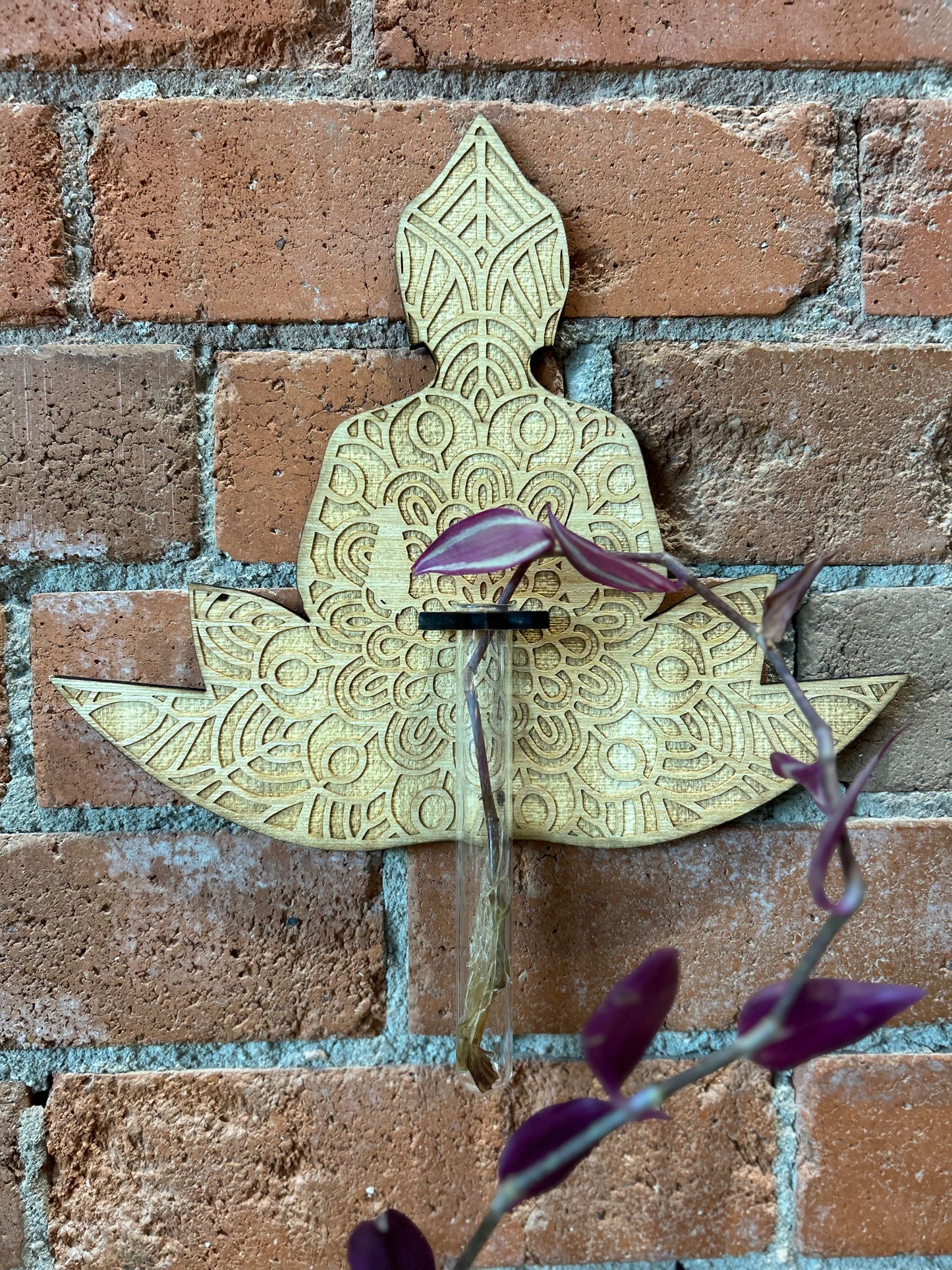 EverwoodCOS- Buddha Mandala Propagation Station