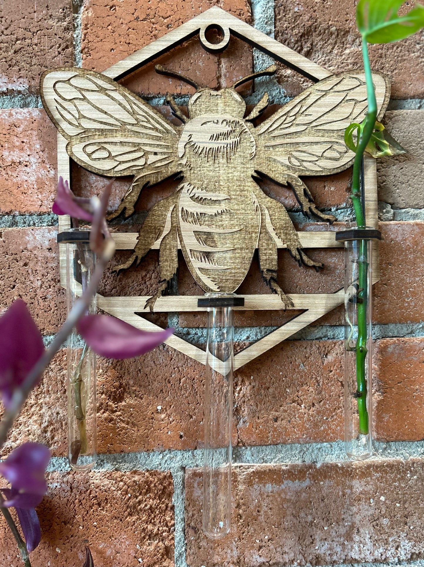 EverwoodCOS- Bee Propagation Station