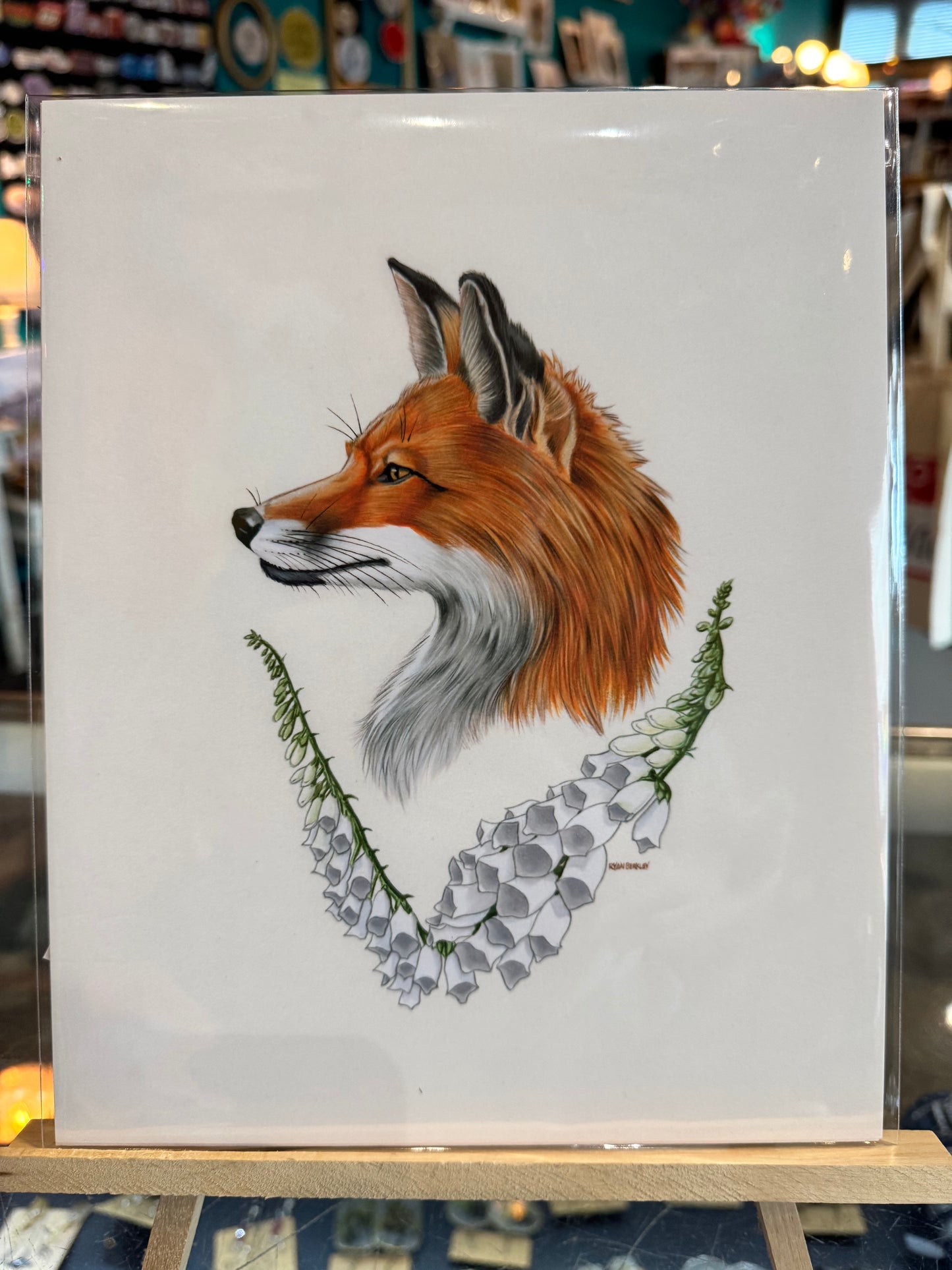 Olympia- Berkley Illustration: Fox & Foxglove Art Print