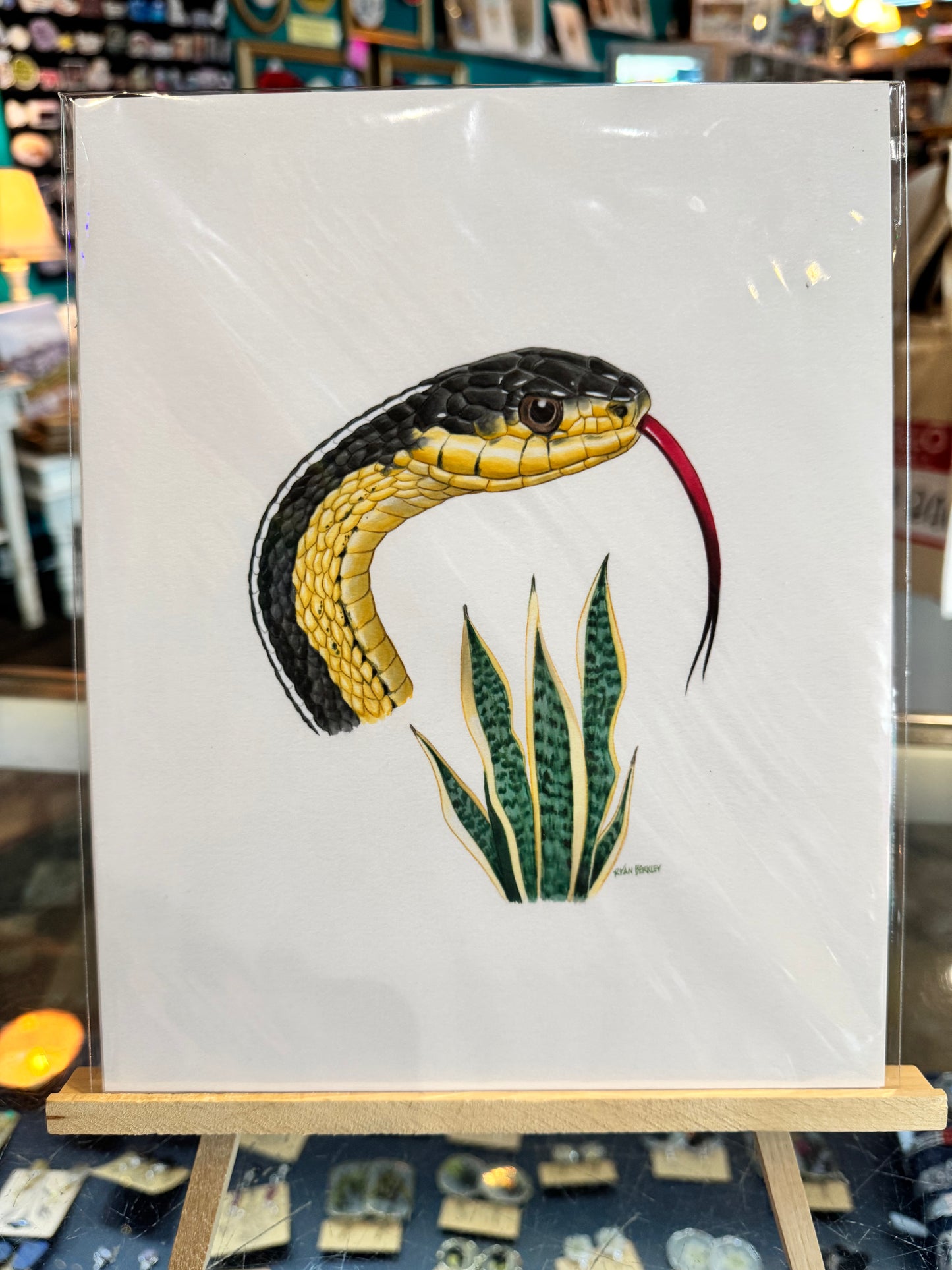 Olympia- Berkley Illustration: Garter Snake & Snake Plant Art Print