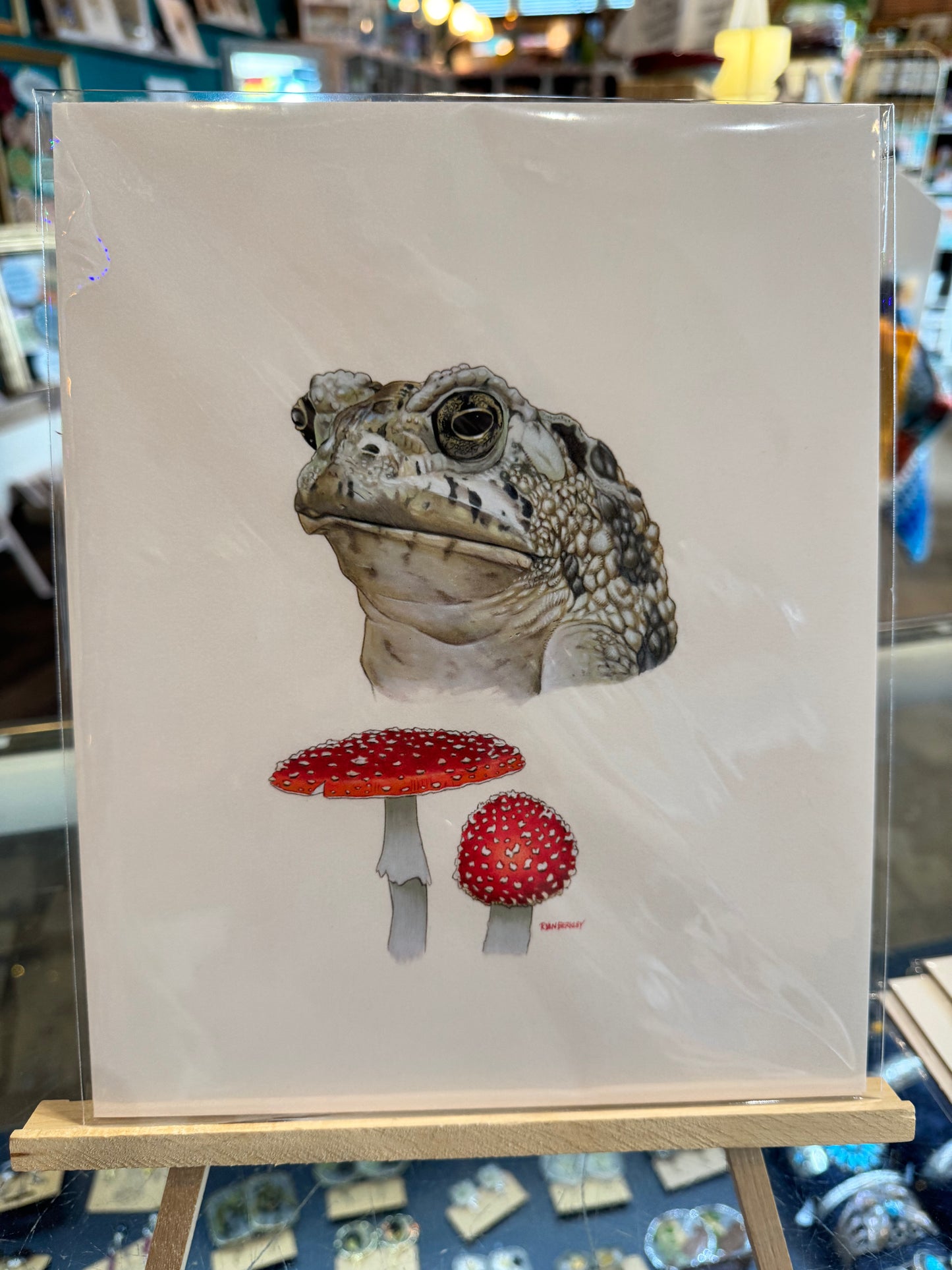 Olympia- Berkley Illustration: Toad & Toadstool Art Print
