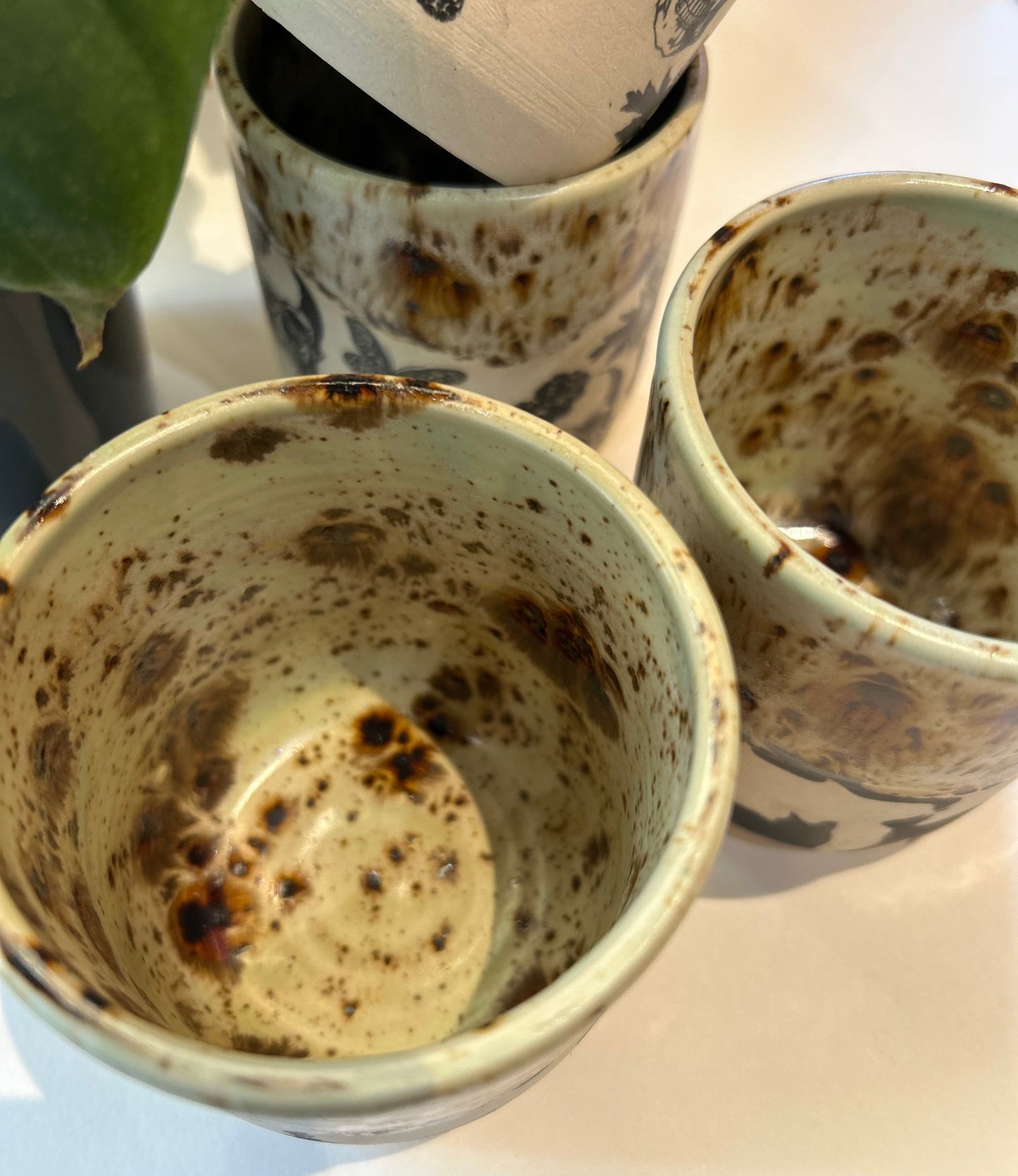 Veronica PremDas-Spooky Drinkware