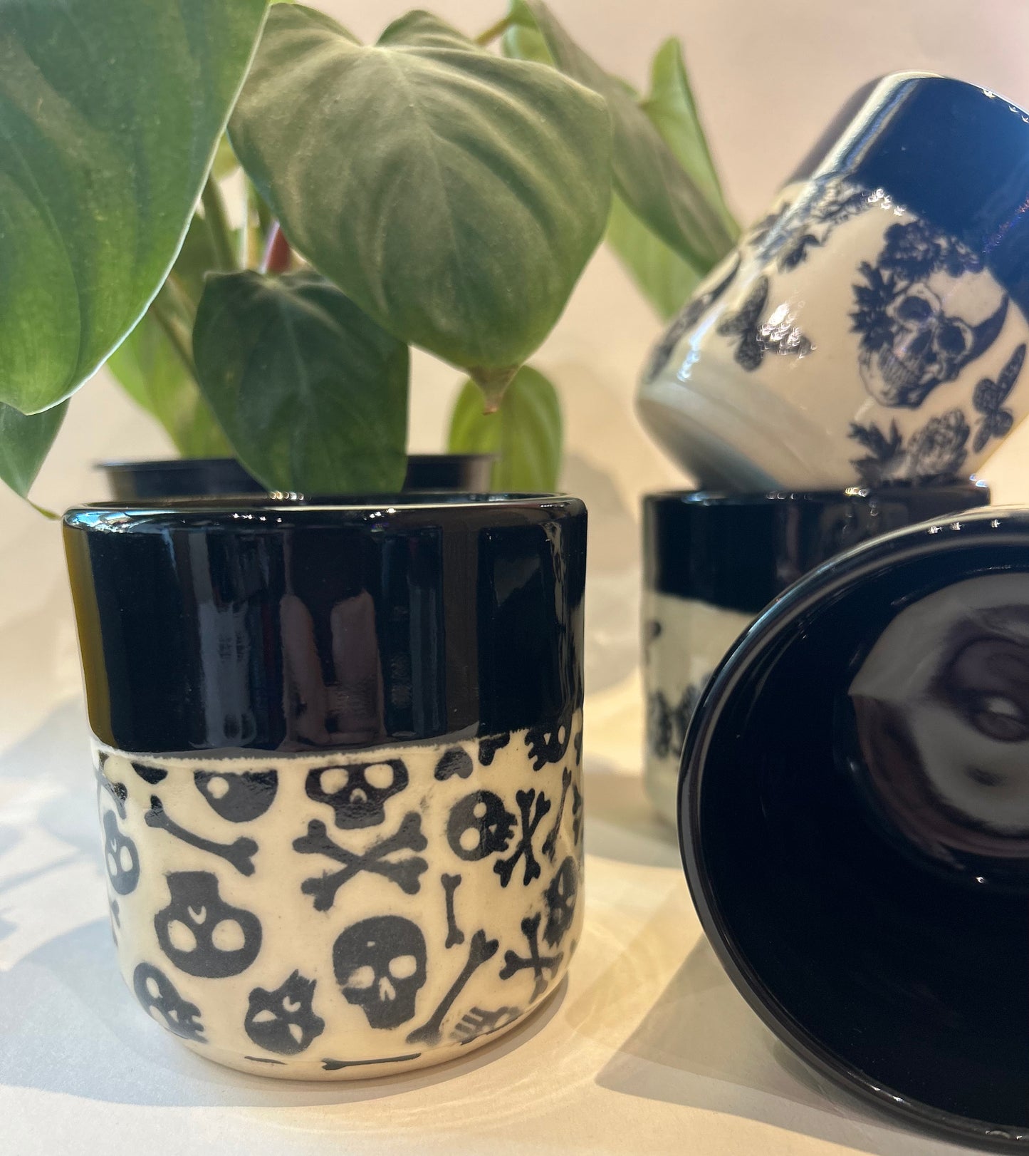 Veronica PremDas-Spooky Drinkware