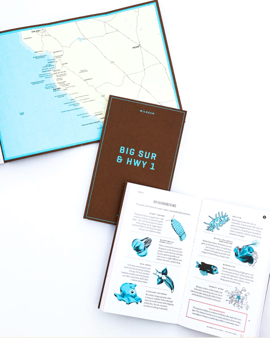 Oddly Enough Books- Wildsam Field Guides- Big Sur & Hwy 1- Travel Guide