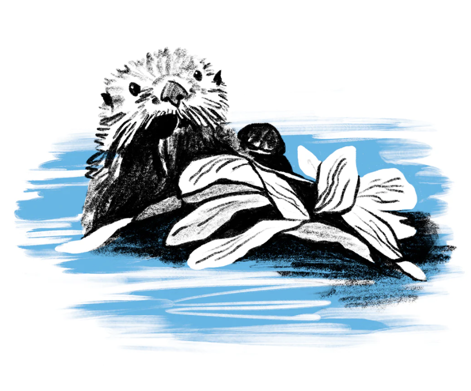 Oddly Enough Books- Wildsam Field Guides- Big Sur & Hwy 1- Travel Guide