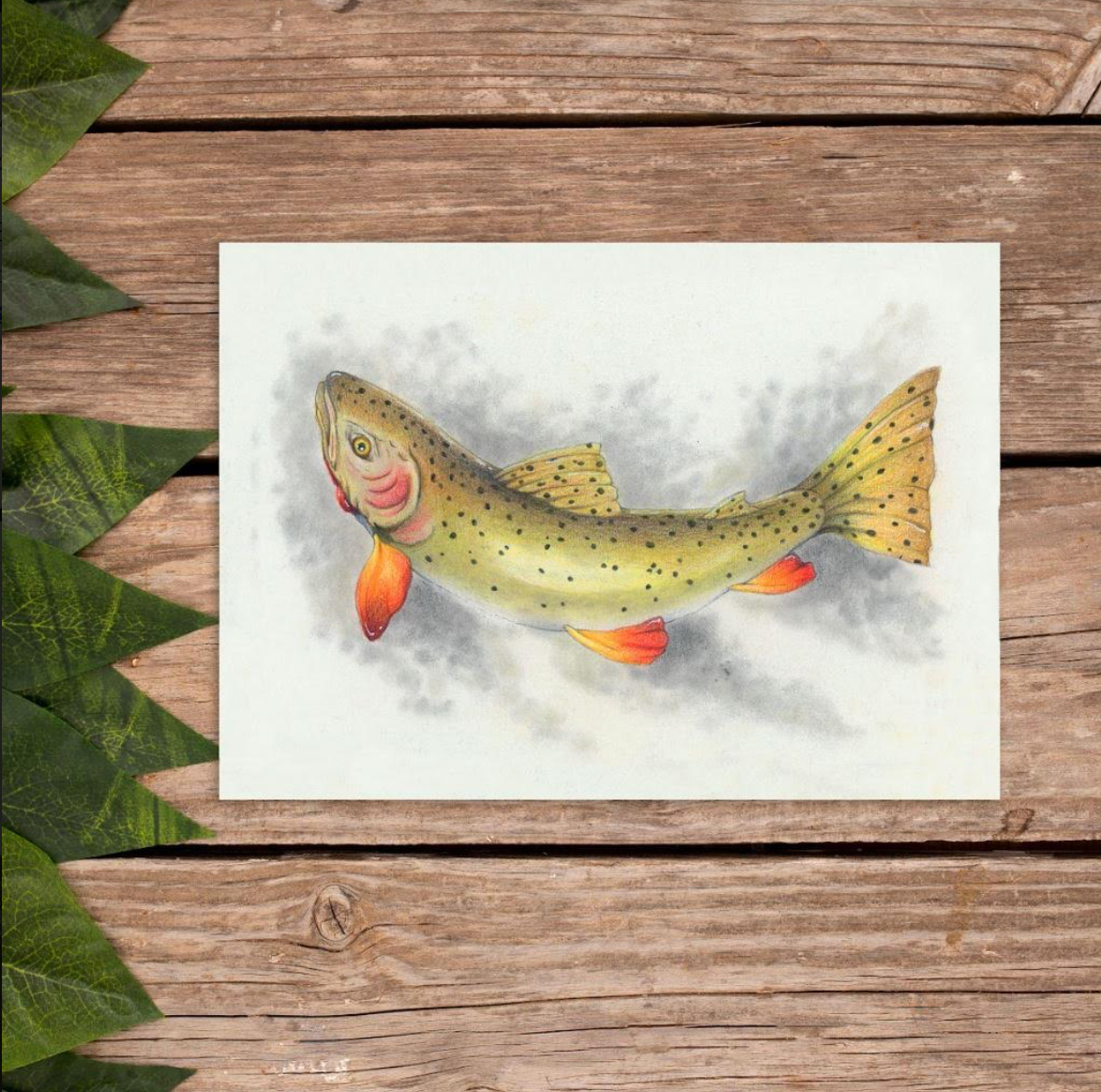 Native Fauna Art- 5"x7" Cutthroat Trout Print