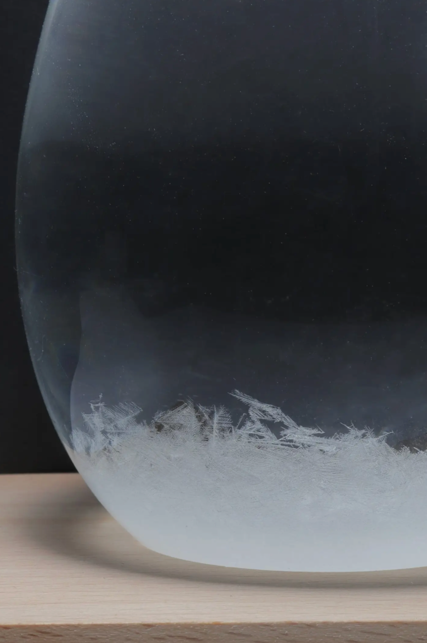 Stemcell Science Shop- Storm Glass