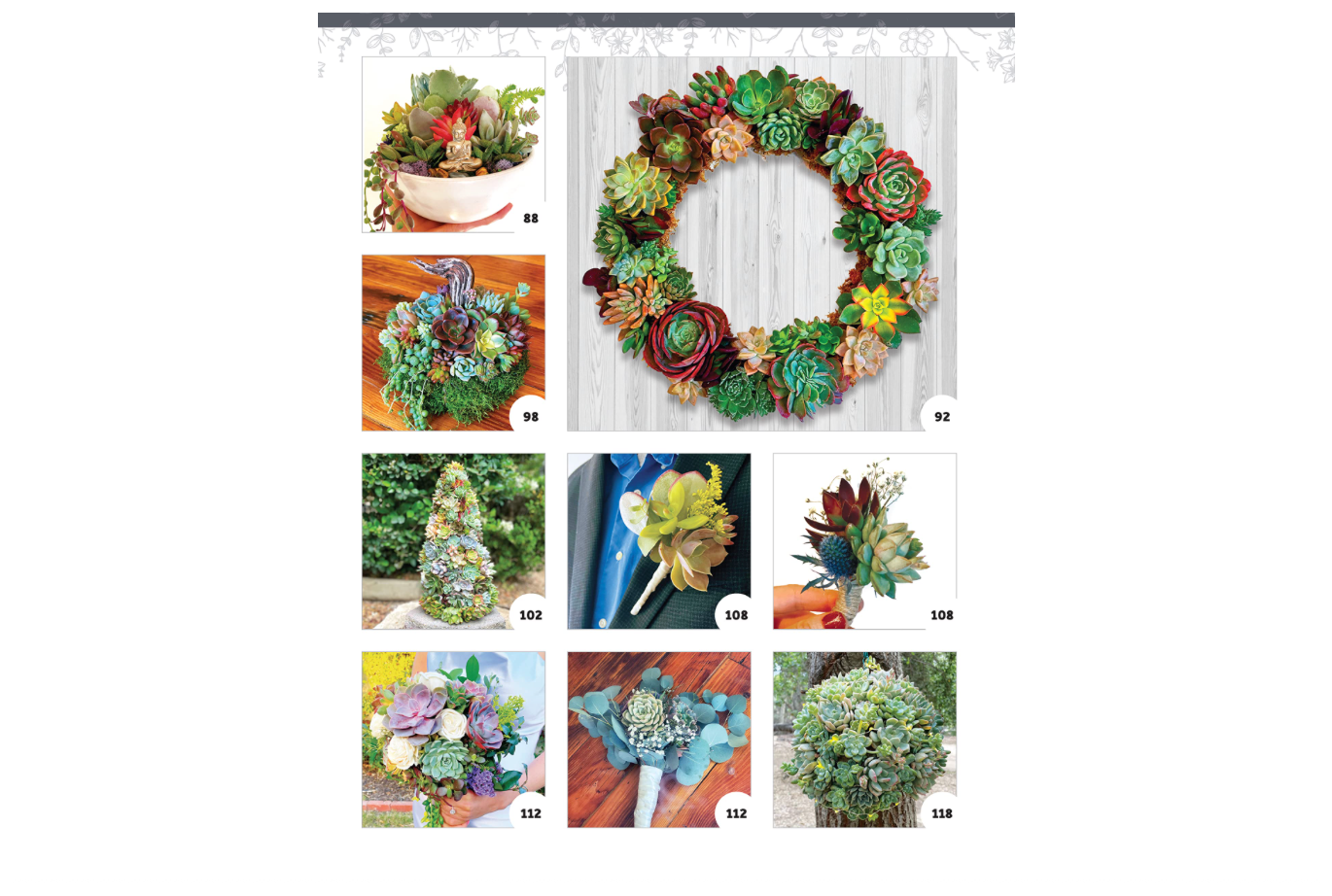Oddly Enough Books-Succulents for Your Home or Garden Plant Book