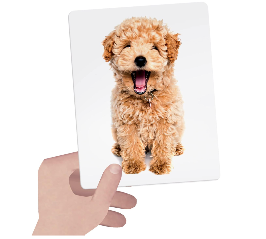 Headu- Tactile Montessori Flash Cards