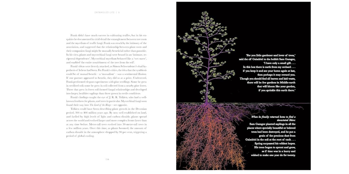 Oddly Enough Books- Entangled Life: How Fungi Make Our Worlds- Mushrooms