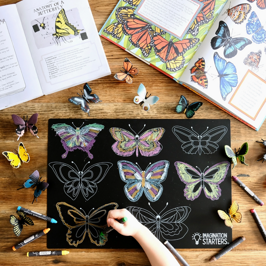 Imagination Starters- Reusable Coloring Placemats: Butterfly