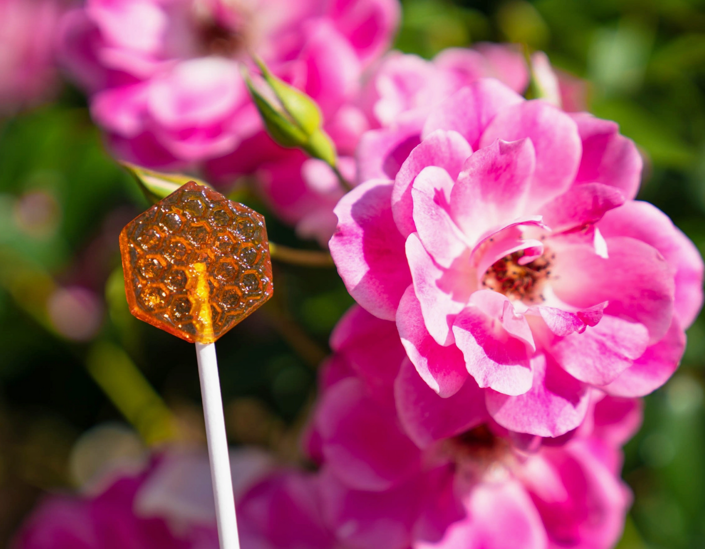 Sparko Sweets- Honeycomb Lollipop