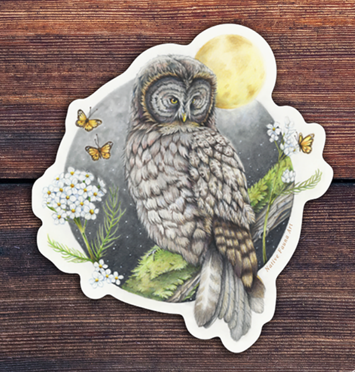 Native Fauna Art- Owl- Sticker