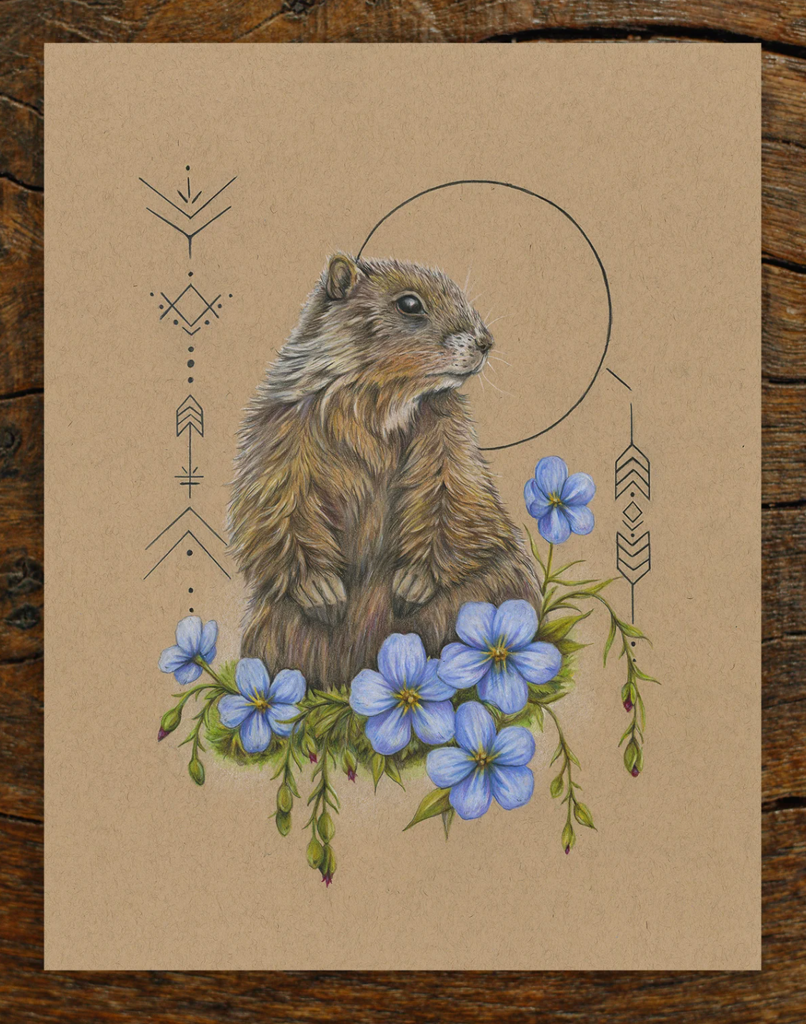 Native Fauna Art- Prairie Dog - Illustration Print