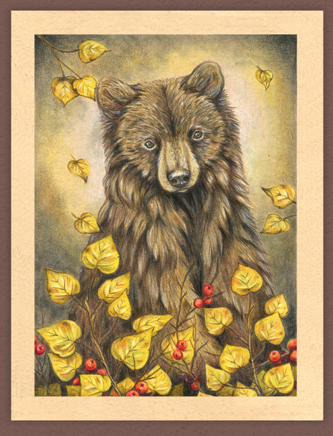 Native Fauna Art- Bear - Illustration Print- "Daughter of the Aspens"