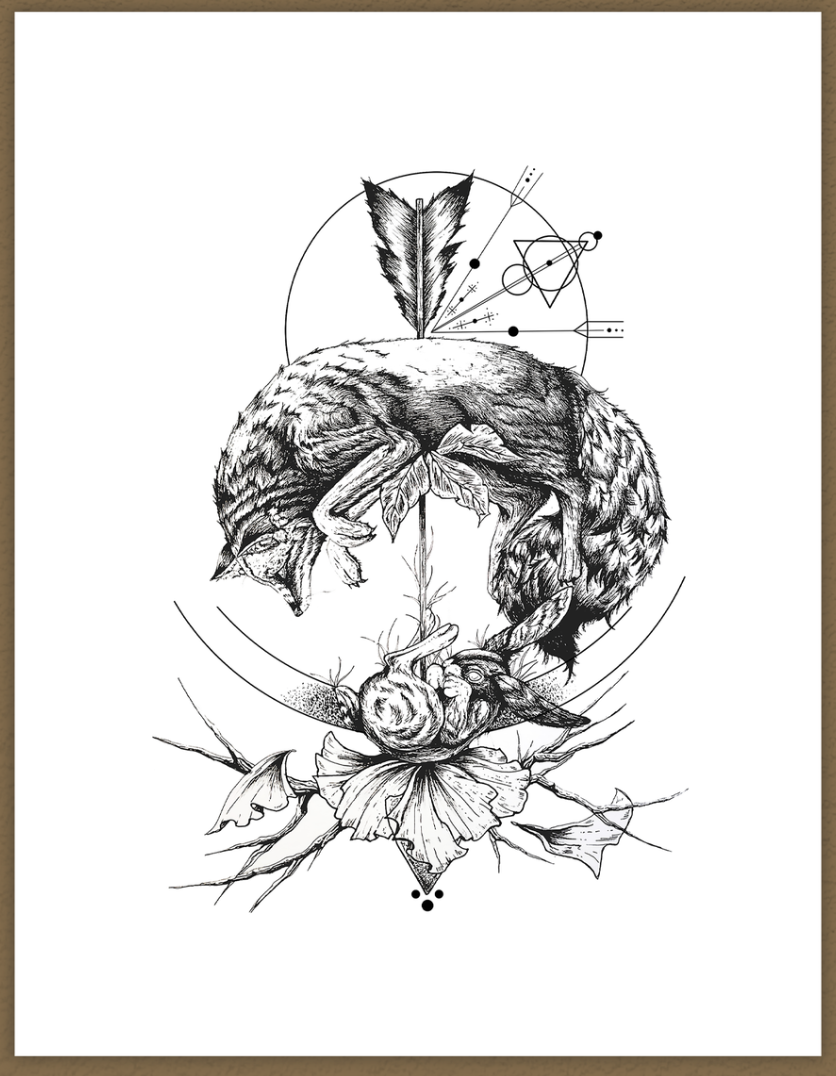 Native Fauna Art- 11"x8.5" Mors Certa