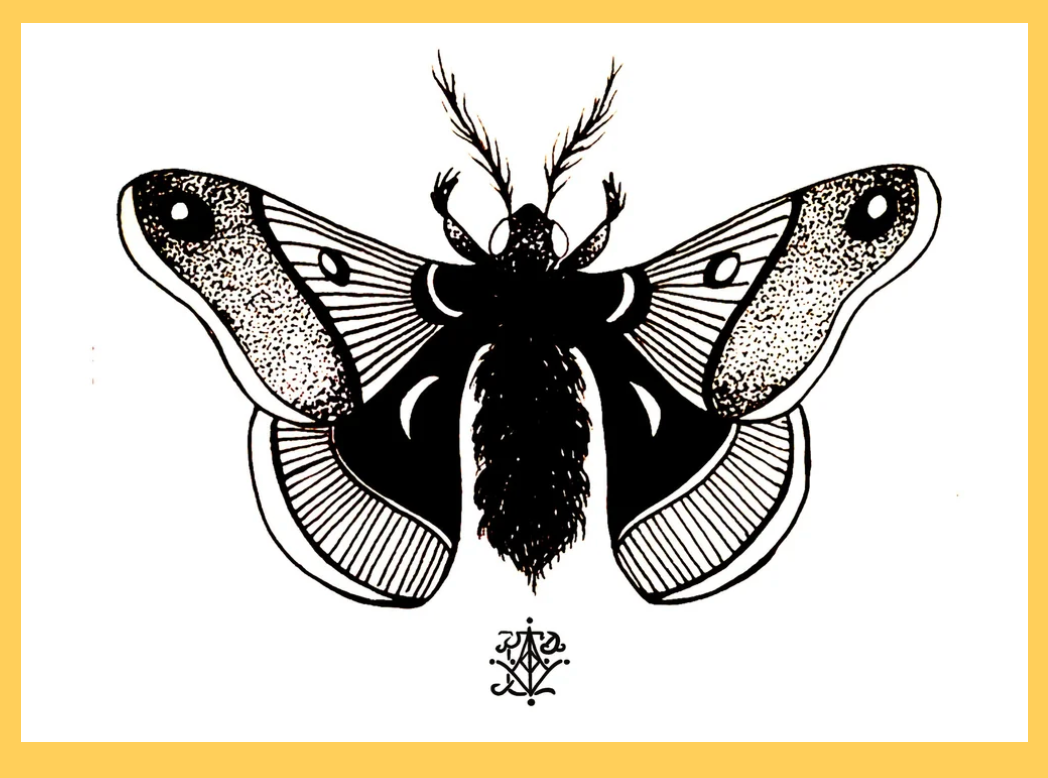 VanZayton Arts- The Moth 11x14 Print