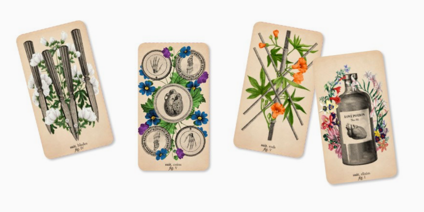 Abrams- Antique Anatomy Tarot Kit