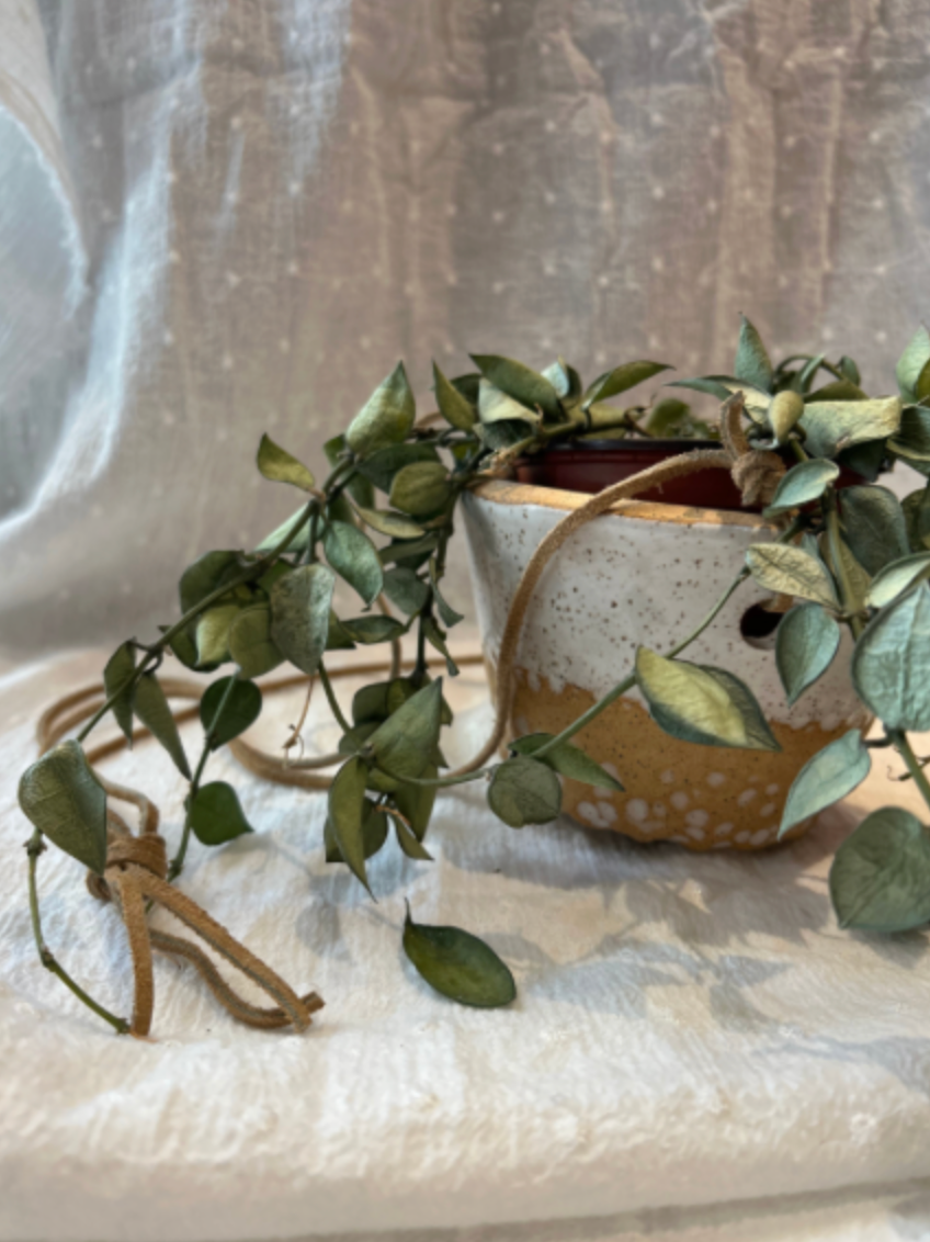 Nitra Olsen Ceramics- Hanging Planters