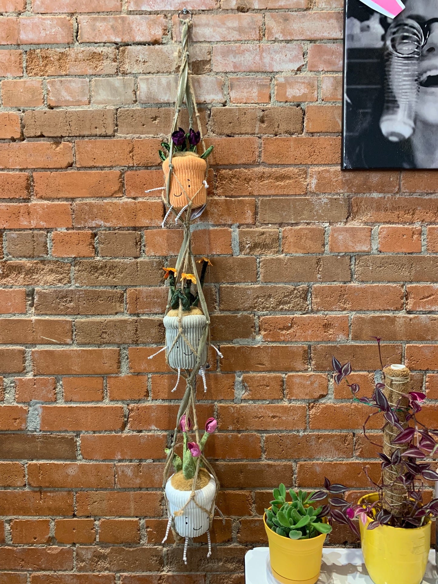 Leah Valentine- 3 Tier Macrame Plant Hanger