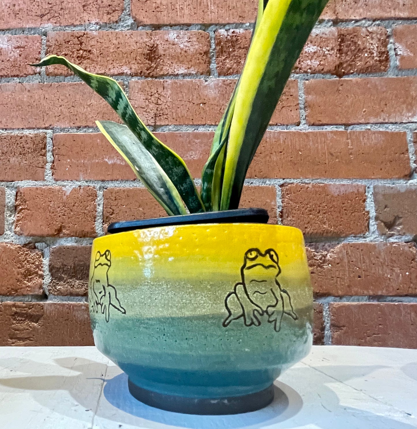 Spunky Sloth Ceramics- Wetland Beauties Planters