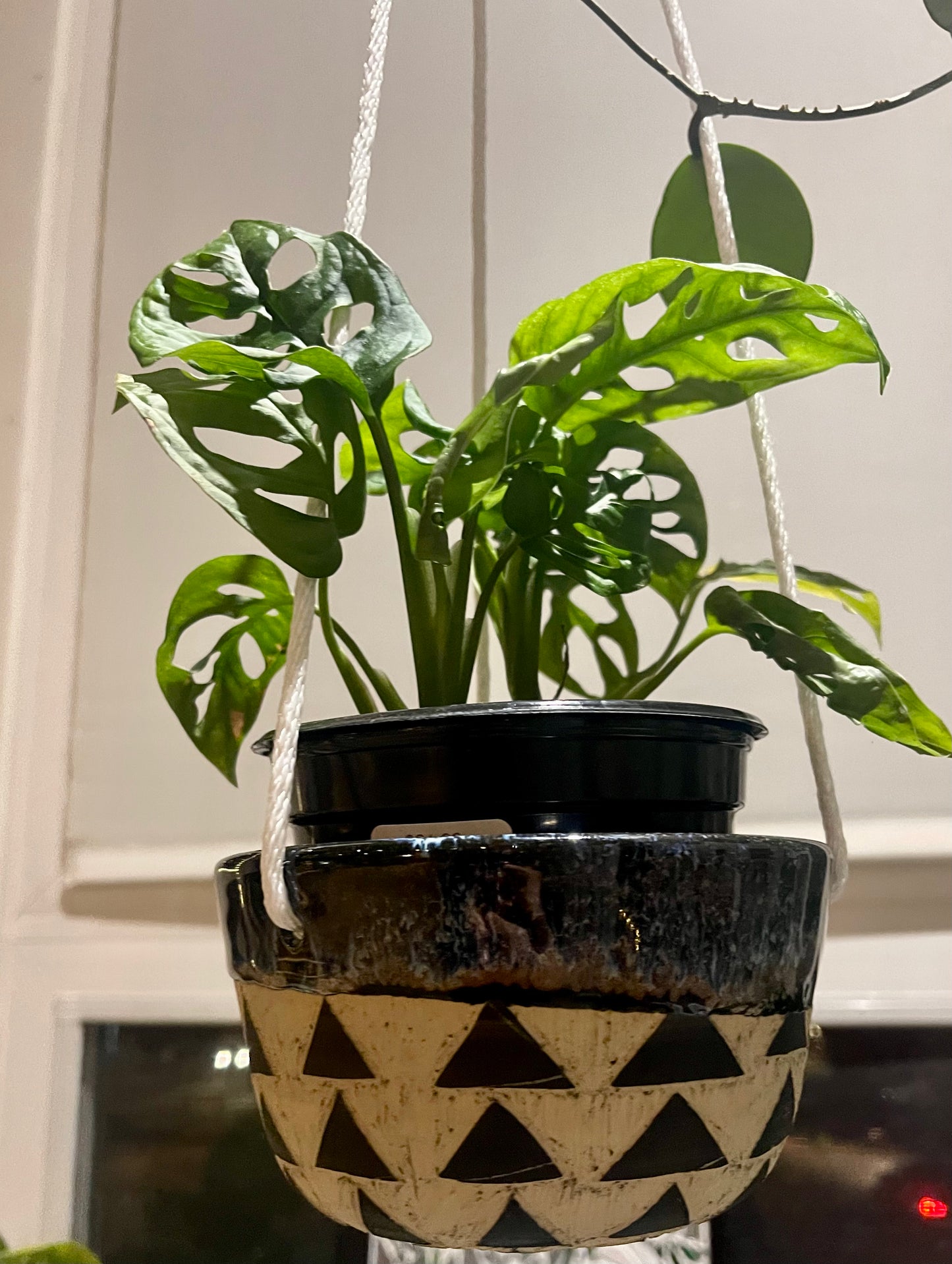 Veronica PremDas Sgraffito Hanging Planter