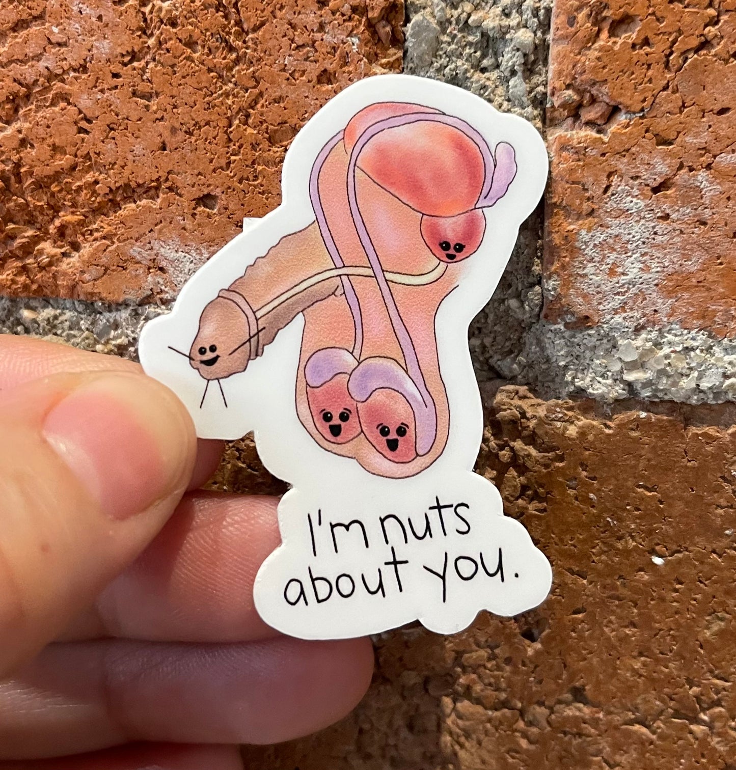 Christine Borst- I'm Nuts About You Sticker