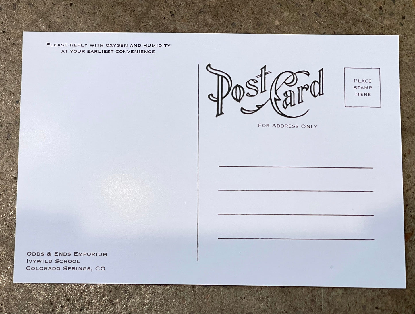 Postcard Colorado Calathea Plant