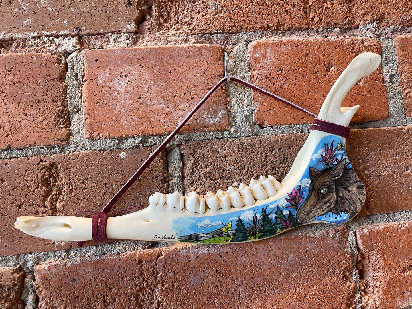 Native Fauna Art- Ethically Sourced Mule Deer Jaw Bone with Original Art Work