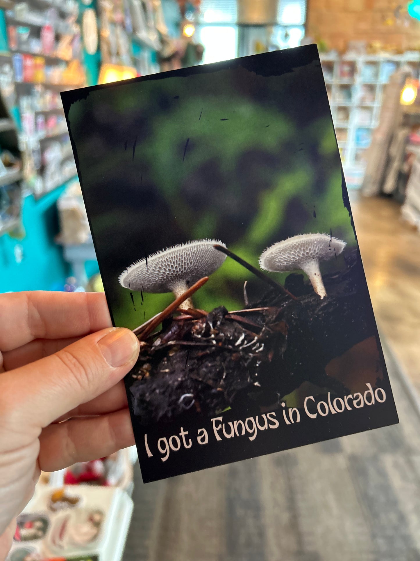 Postcard