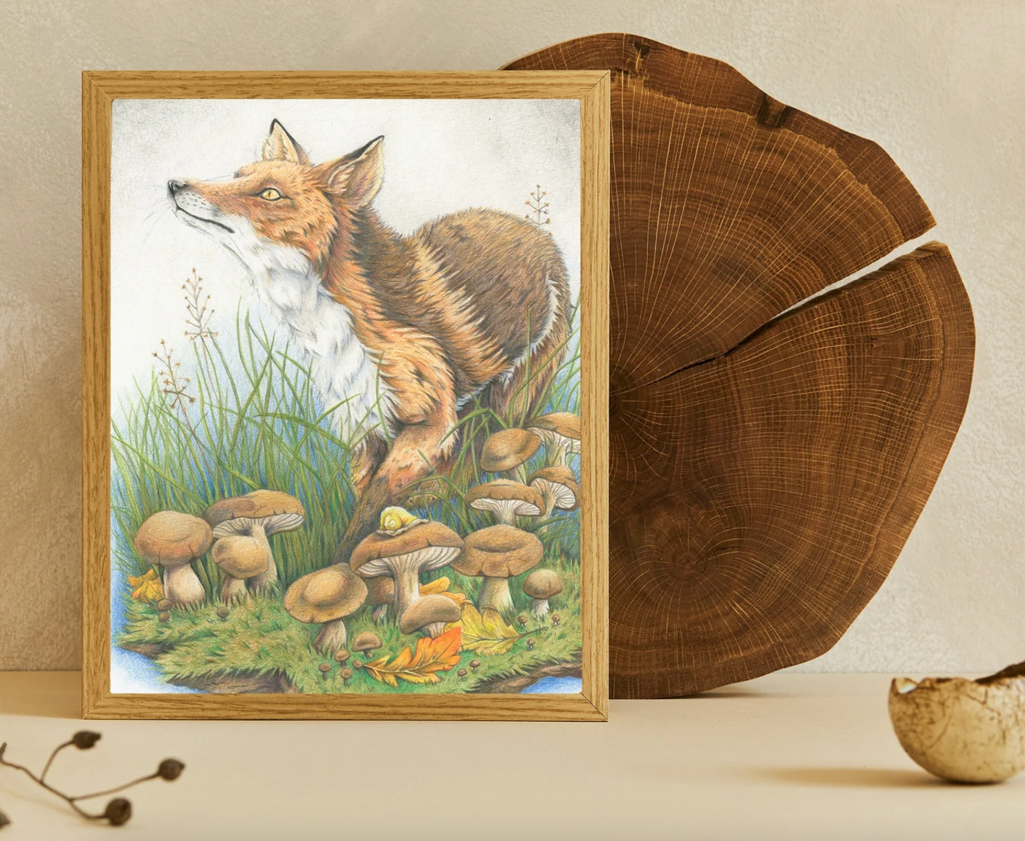 Native Fauna Art- Curious Fox Print