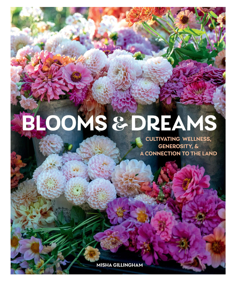 Oddly Enough Books- Booms & Dreams by Misha Gillingham