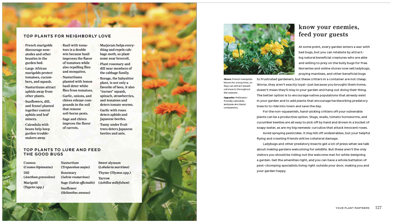 Oddly Enough Books- The Garden Refresh- Gardening Book