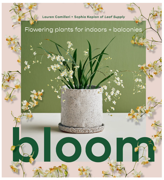 Oddly Enough Books- Bloom: Flowering Plants for Indoors and Balconies by Lauren Camilleri